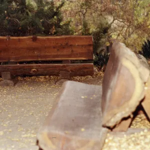 two wood benches