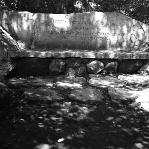 SBBG The Bissell Bench, stone bench