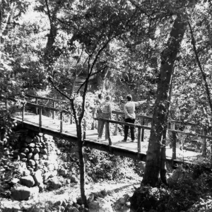 Visitors on Campbell Bridge, Mission Creek