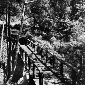 A rustic bridge spans Mission Creek at the foot of Campbell Trail in the Santa Barbara Botanic Garden, © Josef Muench