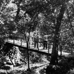 Visitors on Campbell Bridge, Mission Creek