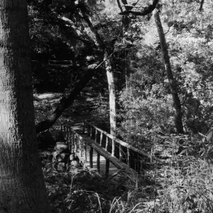 SBBG Campbell Bridge