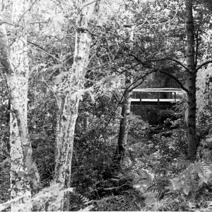 SBBG Campbell Bridge, Mission Canyon
