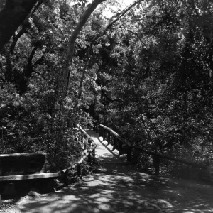 SBBG Campbell Bridge