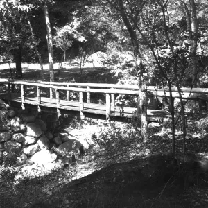 SBBG Campbell Bridge, Mission Creek