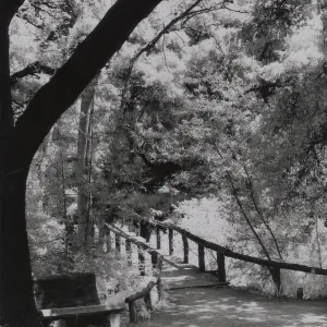 Campbell Bridge, SBBG