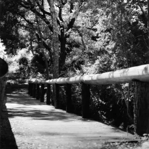 Campbell Bridge, SBBG