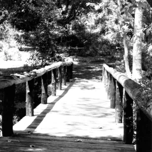 Campbell Bridge, SBBG
