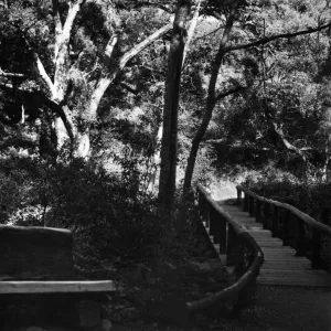 Campbell Bridge, SBBG