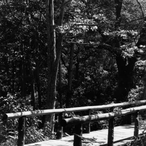 Campbell Bridge, SBBG