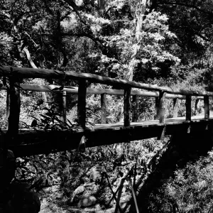 Campbell Bridge, SBBG