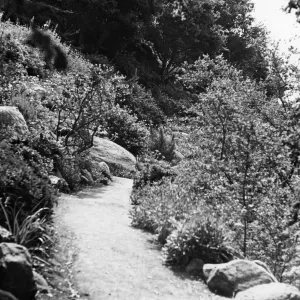 Campbell Trail, SBBG