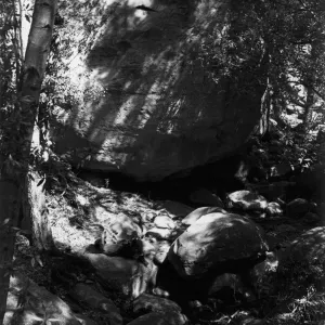 boulder along Mission Creek, Canyon Section, SBBG