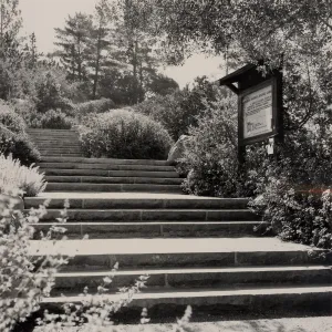 Old Garden Entrance, Clara Small Smith Steps