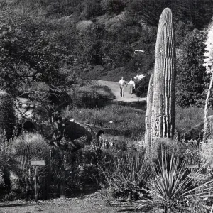 couple walking toward the Desert Section, SBBG
