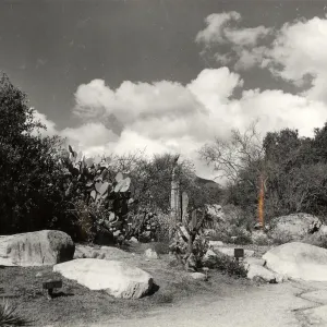 Desert Section, SBBG