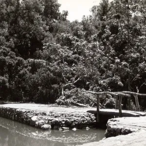 pool behind Mission Dam, SBBG