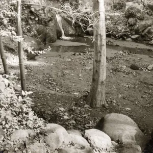 Mission Creek, below Old Mission Dam, SBBG