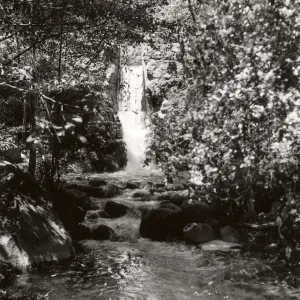 Mission Dam, SBBG