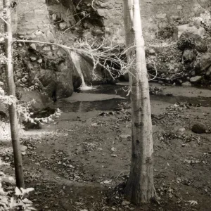 Mission Dam, SBBG