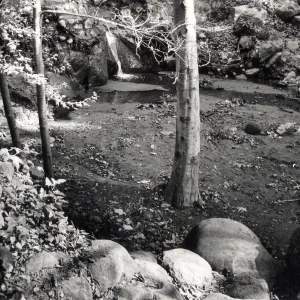 Mission Dam, SBBG