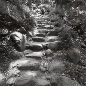Indian Steps