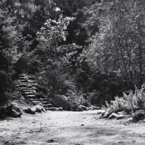 foot of Indian Steps, Redwood Section