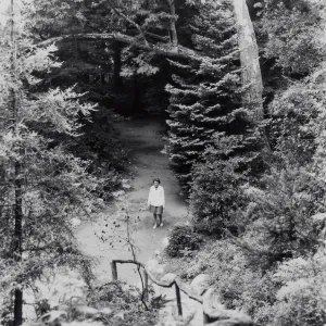 Indian Steps and canyon path