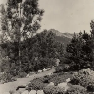 Island Trail, circa 1938