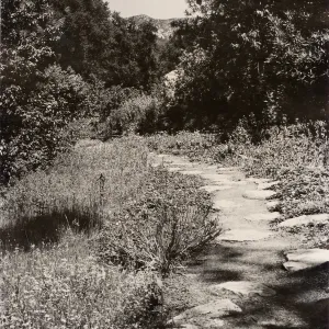 Island Trail (historic)