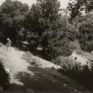 Island Section