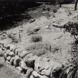 Island Section