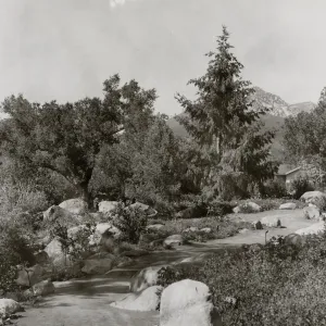Manzanita Section