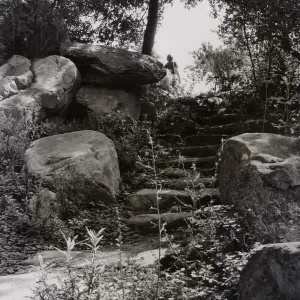 Steps, Manzanita Section