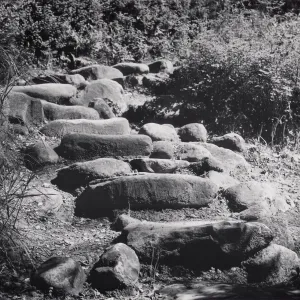 Steps, Manzanita Section