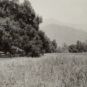 Garden site in Mission Canyon, Meadow and Meadow Oaks, circa 1926