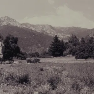 Meadow with 'borrowed landscape' (Santa Ynez mountains in background)