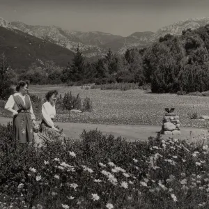 Strawberry Meadow, © Josef Muench