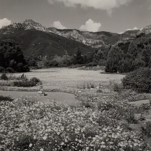 Strawberry Meadow in springtime, © Josef Muench