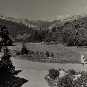 Strawberry Meadow, © Josef Muench