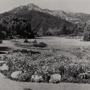 Meadow, 1942 (note small wood sign, left center, 'No Parking')