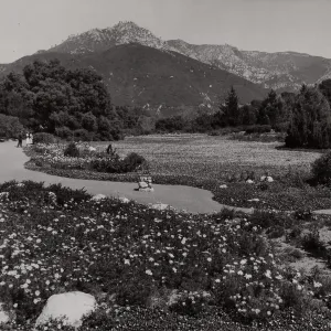 Meadow, 1942