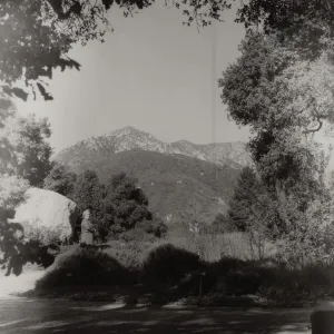 SBBG, Meadow, mountain view