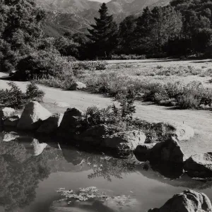 SBBG, Meadow Path and Pond, mountain view