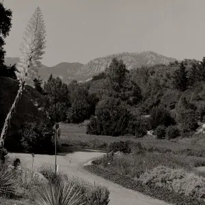 SBBG, Meadow, Mountain view