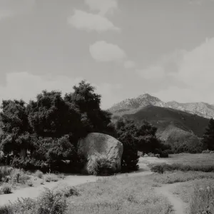 SBBG Meadow, mountain view