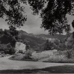 SBBG Meadow, mountain view with clouds