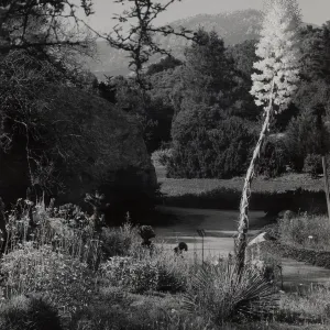 SBBG Meadow, Blaksley Boulder