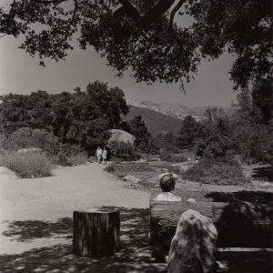 SBBG Meadow, wood bench at entrance, mountain view