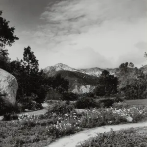 SBBG Meadow and mounatin view